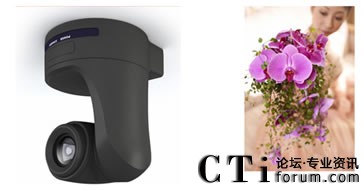 �������^���r��������